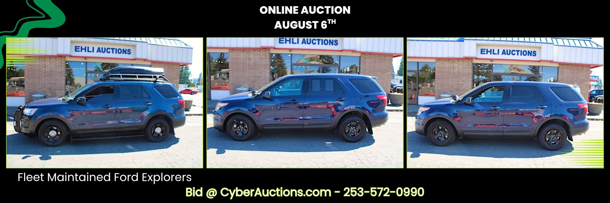 Online Auction August 6th